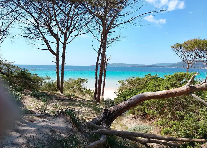 Casa Mari, A Due Passi Dal Mare * Alghero